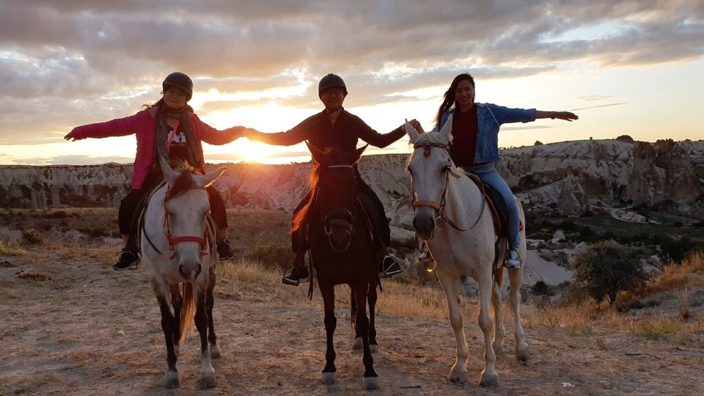 Galeri - Moonlight Horse Ranch